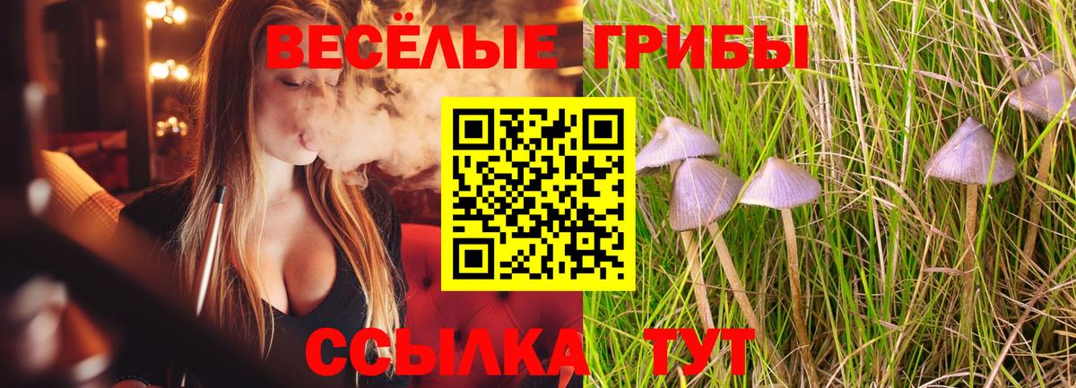 Кызыл  Псилоцибиновые грибы мицелий  Вход с VPN 