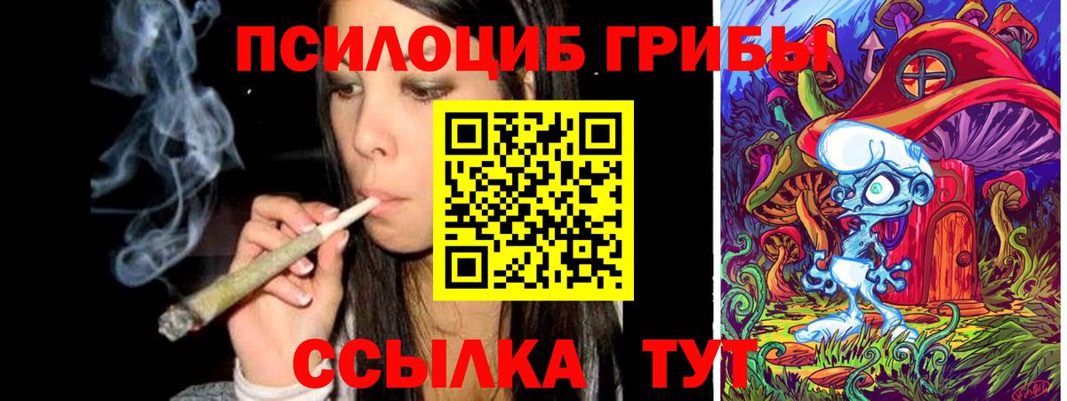 Галлюциногенные грибы Psilocybe Кызыл